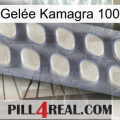 Gelée Kamagra 100 08